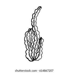 A drawing of alga or seaweed vector