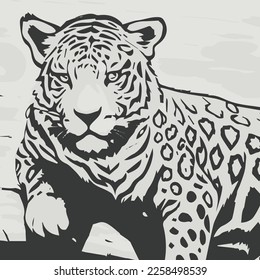 Drawing of an animal of the Brazilian fauna, Jaguar. Hand drawn sketch illustration isolated on white background. portrait of a Jaguar animal, vector sketch illustration