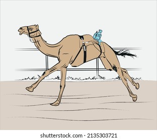 A drawing for any book or flyer of racing camel
