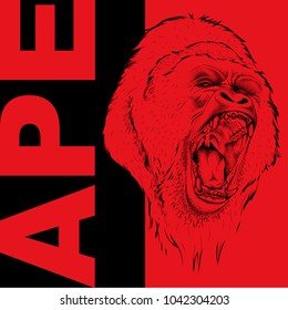 Drawing of a Ape's head. Leader of a pack of gorillas. Aggressive monkey. Graphic design of the cover. Template for design. Vector illustration