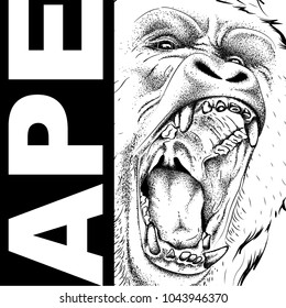 Drawing of a Ape's head. Leader of a pack of gorillas. Aggressive monkey. Graphic design of the cover. Template for design. Vector illustration