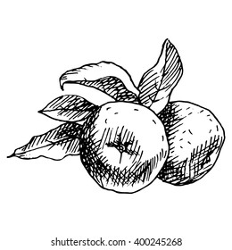 Drawing apple in black and white