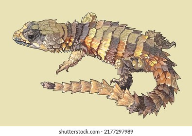 Drawing Armadillo lizard, dragon, rare, art.illustration, vector