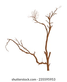 Drawing Art of Dead Tree