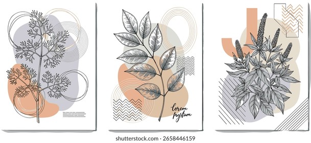 dibujo, arte, flor, geometría, minimal, ilustración, geométrico, abstracto, planta, Vector, línea, forma, fondo, cartel, gráfico, hoja, moderno, diseño, minimalista, conjunto, decoración, moda, verano, flor