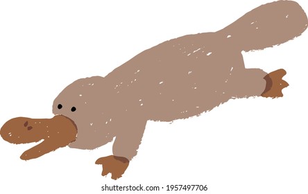 Drawing art product of a Platypus from Australia