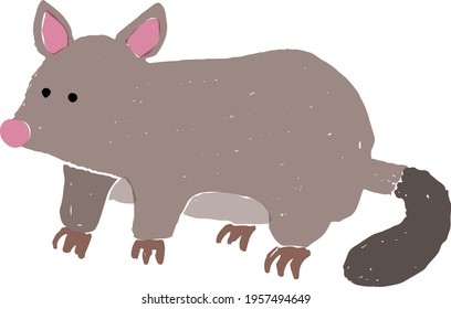 Drawing art product of a Possum from Australia