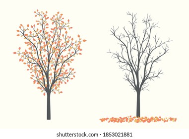 Herbstbäume in zwei Versionen mit Blättern und ohne Blätter