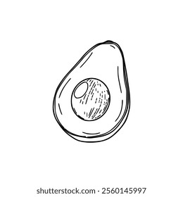 A drawing of an avocado on a white background