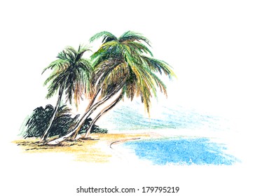 Drawing beach with palm trees. Vector illustration