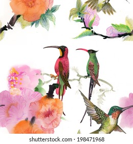 Drawing of beautiful bright birds and flowers seamless pattern vector