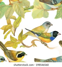 Drawing of beautiful bright birds and flowers seamless pattern vector