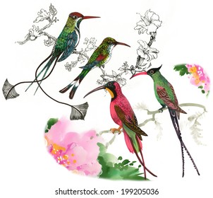 Drawing of beautiful bright birds and flowers seamless pattern vector 