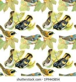 Drawing of beautiful bright birds and flowers seamless pattern vector