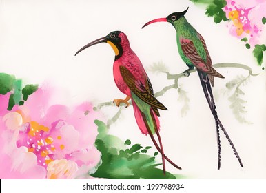 Drawing of beautiful bright birds and flowers vector