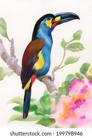 Drawing of beautiful bright birds and flowers vector