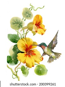 Drawing of beautiful bright birds and flowers vector 