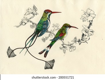 Drawing of beautiful bright birds and flowers vector