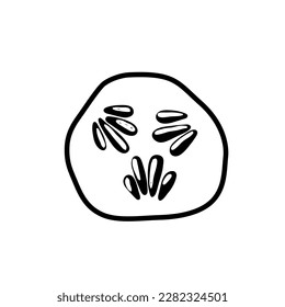 dibujo de un bonito pepino