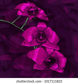 Drawing beautiful floral botanical spring template with blooming natural pink orchid flower vector illustration