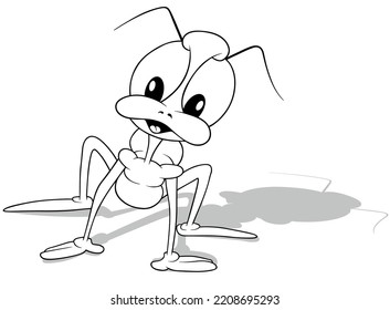 Drawing Beetle and Long Legs   Big Eyes    Cartoon Illustration Isolated White Background  Vector