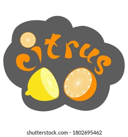 The drawing below the "citrus" label shows a cut lemon and orange.
