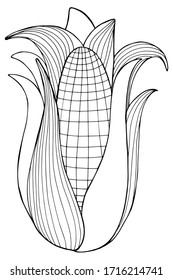 Drawing with big corn. Hand draws antistress for children and adults. Corn with big leaves. Clack plant with small details. Design for children's books, textiles, packaging, tattoo. coloring  popcorn