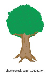 Drawing big tree on white background is insulated