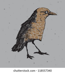 Drawing bird 01, vector
