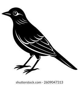 a drawing of a bird with a white background