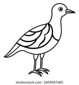 a drawing of a bird with a white background