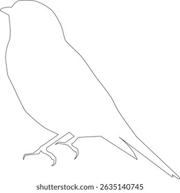 A drawing of a bird with a white background
