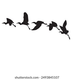 Drawing Birds Silhouette Flying eps 10