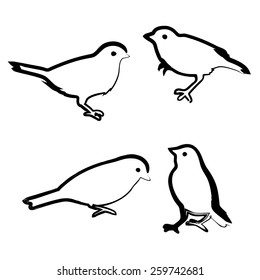 Drawing birds, vector sketch