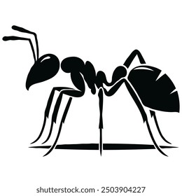 A drawing of black ants on a white background