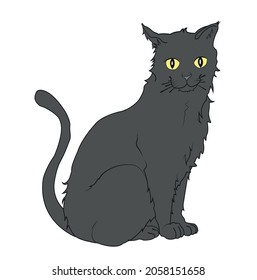 drawing black cat sitting white background