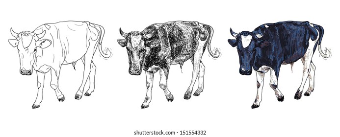 The drawing of black and white cow