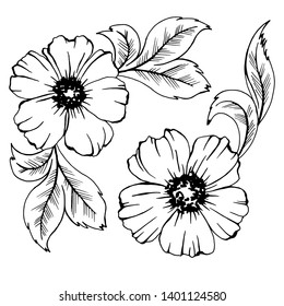 drawing in black and white, flowers and leaves