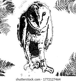 drawing of a black and white owl. in every corner of the picture there are pteridophyte plants.