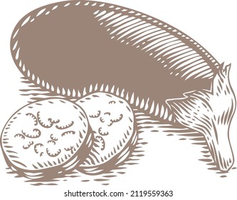 Drawing of blue egg-plant with two cutted pieces