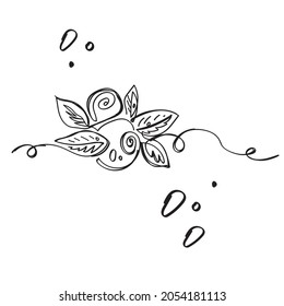 Dibujar un arándano azul con una línea en un vector a mano. Ilustración aislada en un fondo blanco, clipart