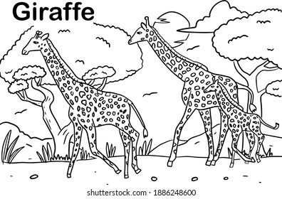 Drawing book for children, drawing book, coloring book, coloring page, Animal series of coloring book, Giraffe vector