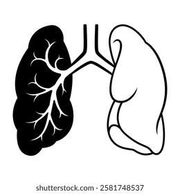 Drawing of both lungs and trachea, body organs illustration with simple design.