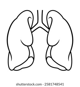 Drawing of both lungs and trachea, body organs illustration with simple design.