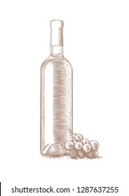 Drawing of bottle of white wine with a bunch of grapes