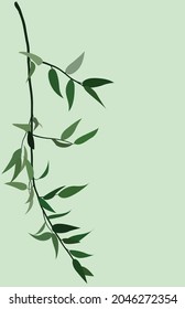 Drawing of a branch with green leaves. Vector flat hand-drawn illustration. Minimalistic design for cards, templates, backgrounds, avatars, posters, textiles, menus.