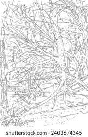 Drawing of broken trees in a ravine. Sketch with simple lines