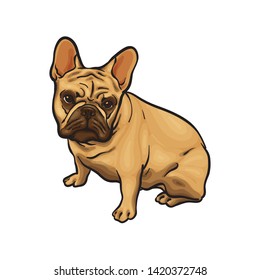 Drawing Of A Brown French Bulldog. Animal Vector Illustration