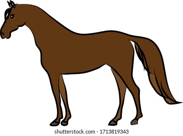 Drawing of brown horse on a white background. Sketch, drawing by hand.