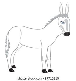 Drawing of the burro on white background